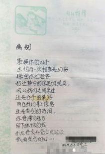 老板日记爆料大全最新版,揭秘企业内幕与真实故事